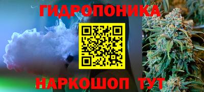 гашик Лесосибирск
