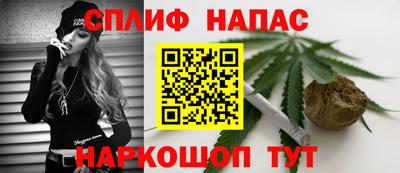 гашик Лесосибирск